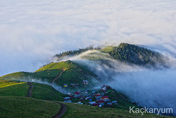 Uzungöl ve Rize Yaylaları Turu | Karagöl Dahil