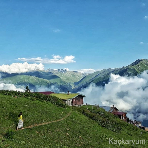 Uzungöl ve Rize Yaylaları Turu | Karagöl Dahil
